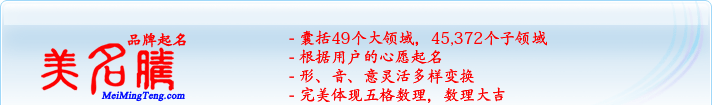 49個大領域，45,372個子領域；根據用戶的心愿起名；形，音，意靈活變換；完美體現五格數理