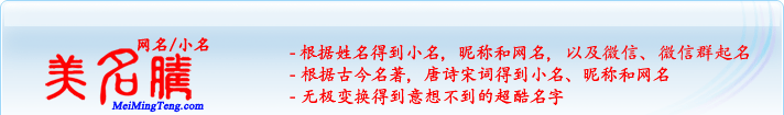 根據姓名得到小名，昵稱和網名；根據古今名著，唐詩宋詞得到小名，昵稱和網名；無極變換得到意想不到的超酷名字