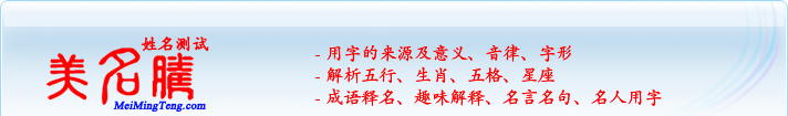 用字的來源及意義、音律、字形；五行、生肖、五格、星座；成語釋名、趣味解釋、名言名句、名人用字