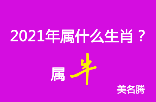 2021年屬什么生肖？2021年屬牛