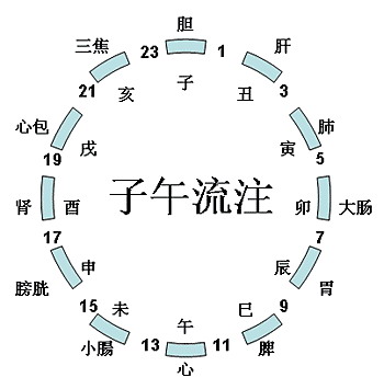 十二時辰與中醫(yī)